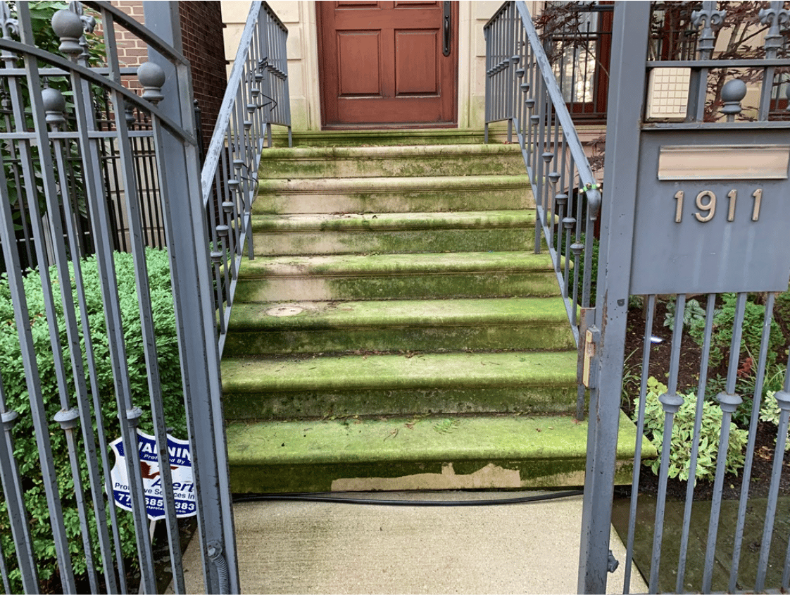 Front Steps Pressure Washing Before